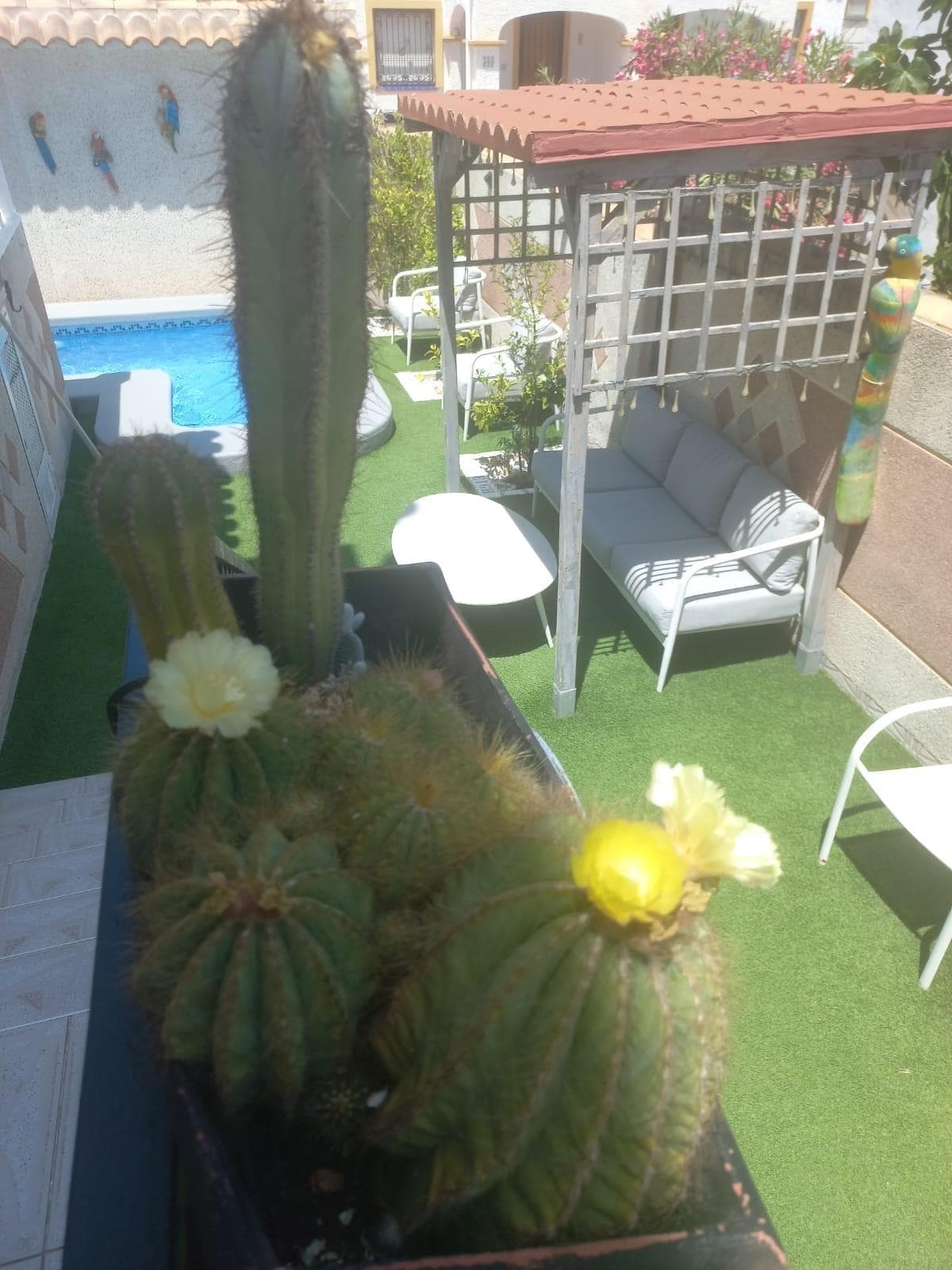 Geschakelde Woning met 3 slaapkamers in Orihuela Costa - 18