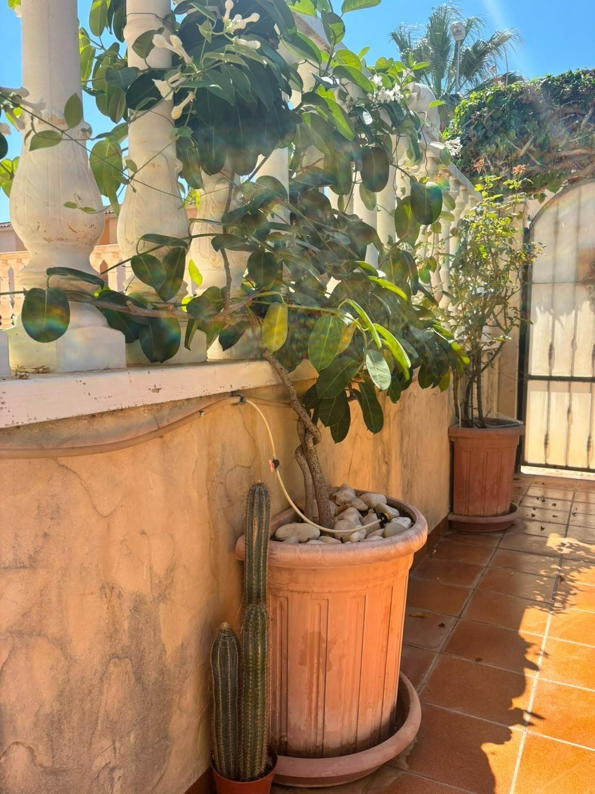 Villa - Chalet de 2 dormitorios en Orihuela Costa - 20