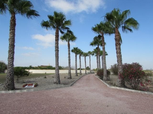 Finca - Cortijo met 3 slaapkamers in Dolores - 32
