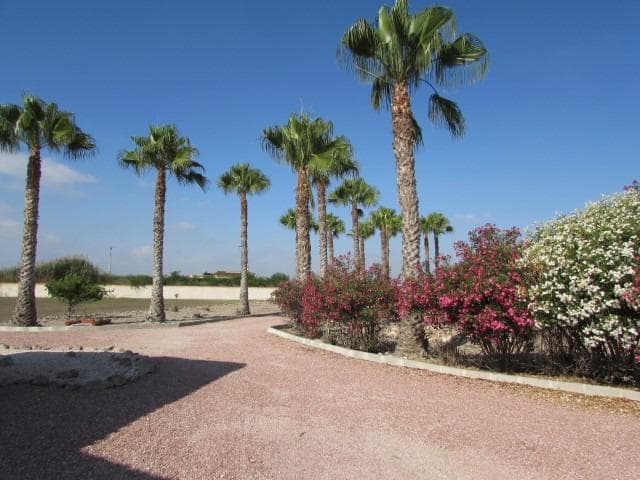 Finca - Cortijo met 3 slaapkamers in Dolores - 33