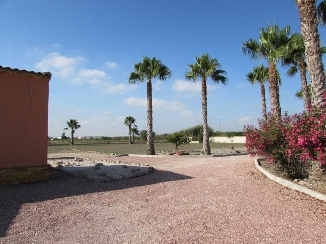Finca - Cortijo met 3 slaapkamers in Dolores - 34