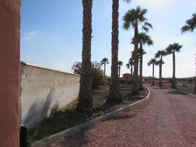 Finca - Cortijo met 3 slaapkamers in Dolores - 35