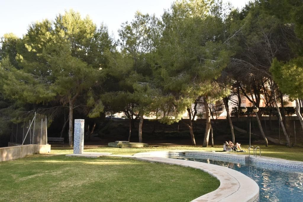3 bed Middle Floor Apartment in Orihuela Costa - 32