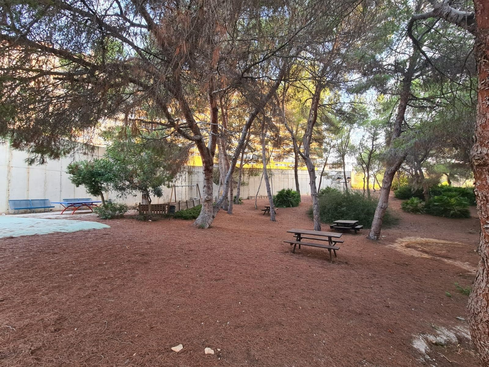3 bed Middle Floor Apartment in Orihuela Costa - 36
