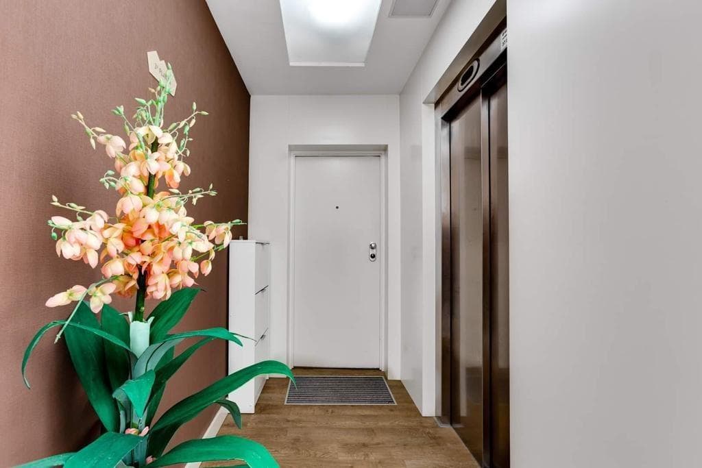 Tussenverdieping Appartement met 2 slaapkamers in Guardamar del Segura - 36