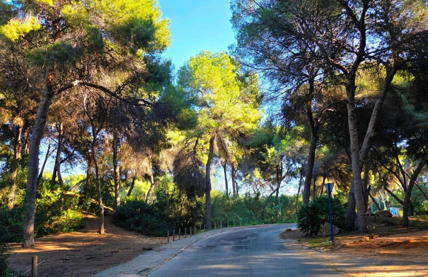 Adosada de 5 dormitorios en Orihuela Costa - 36