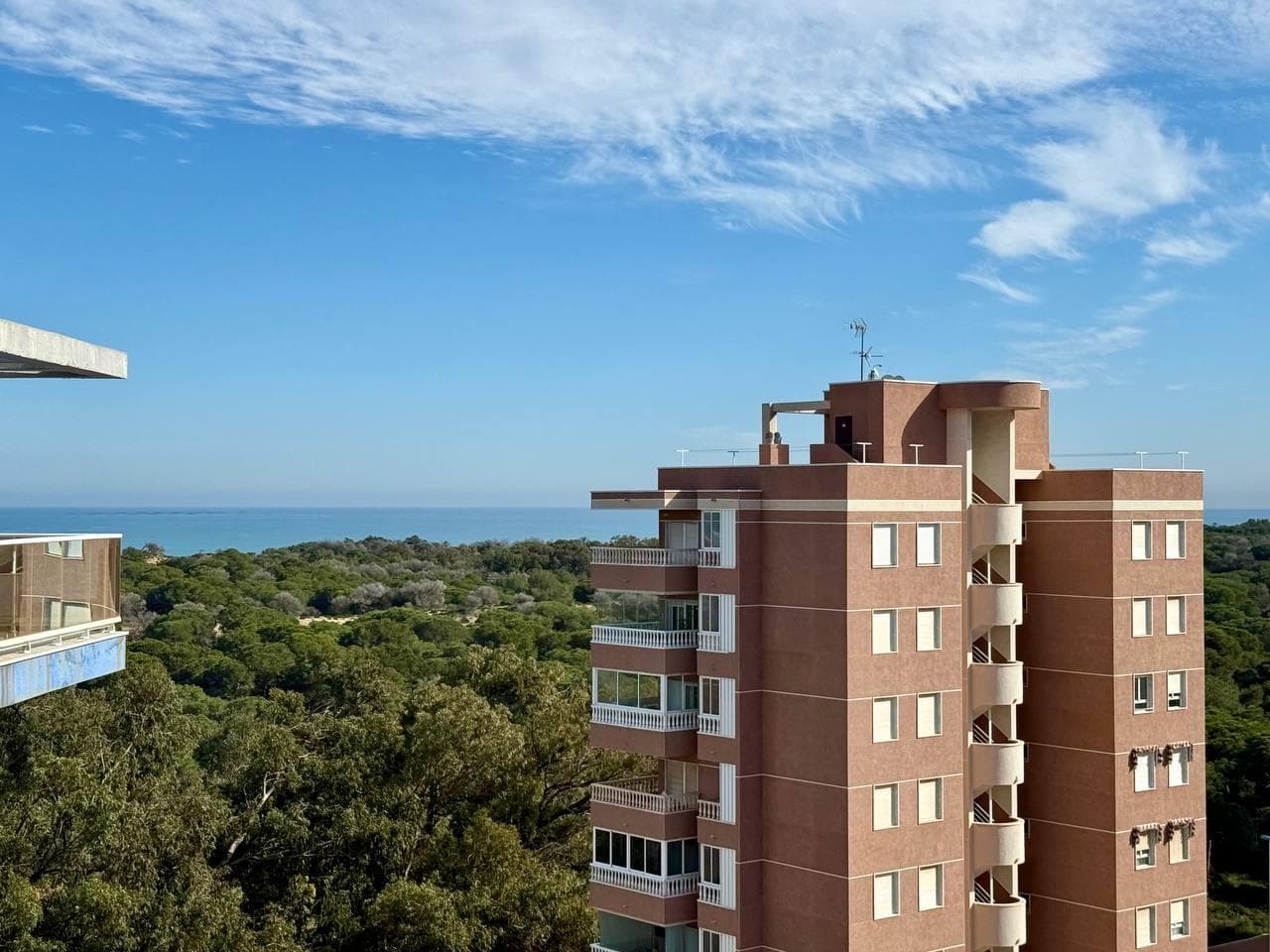 Apartamento Planta Media de 3 dormitorios en Guardamar del Segura - 17