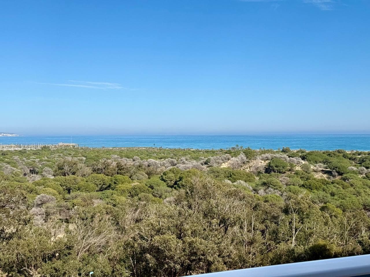 Apartamento Planta Media de 3 dormitorios en Guardamar del Segura - 42