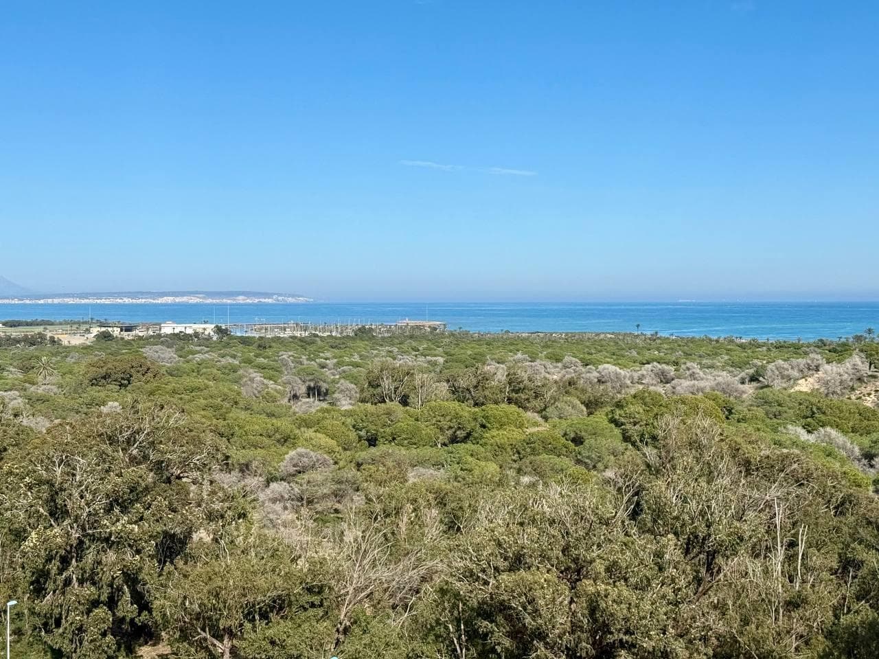 Apartamento Planta Media de 3 dormitorios en Guardamar del Segura - 7