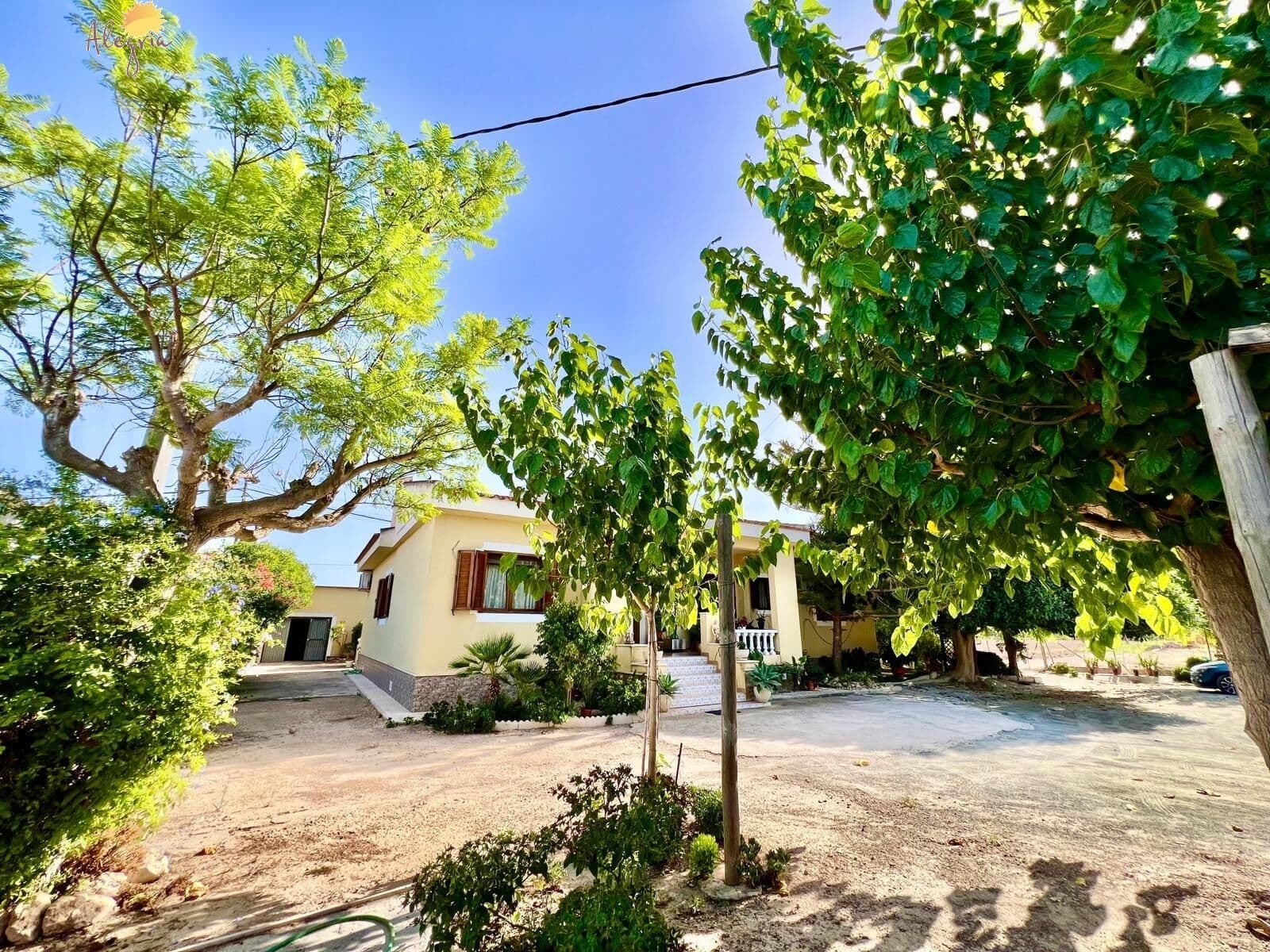 Villa - Chalet de 4 dormitorios en Daya Vieja - 8