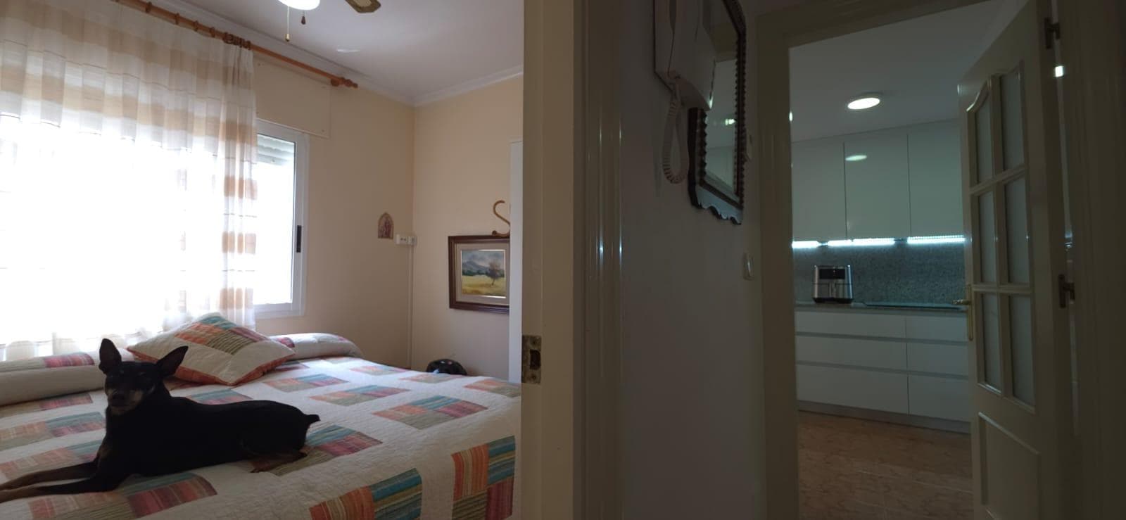 Pareada de 4 dormitorios en Santiago de la Ribera - 27