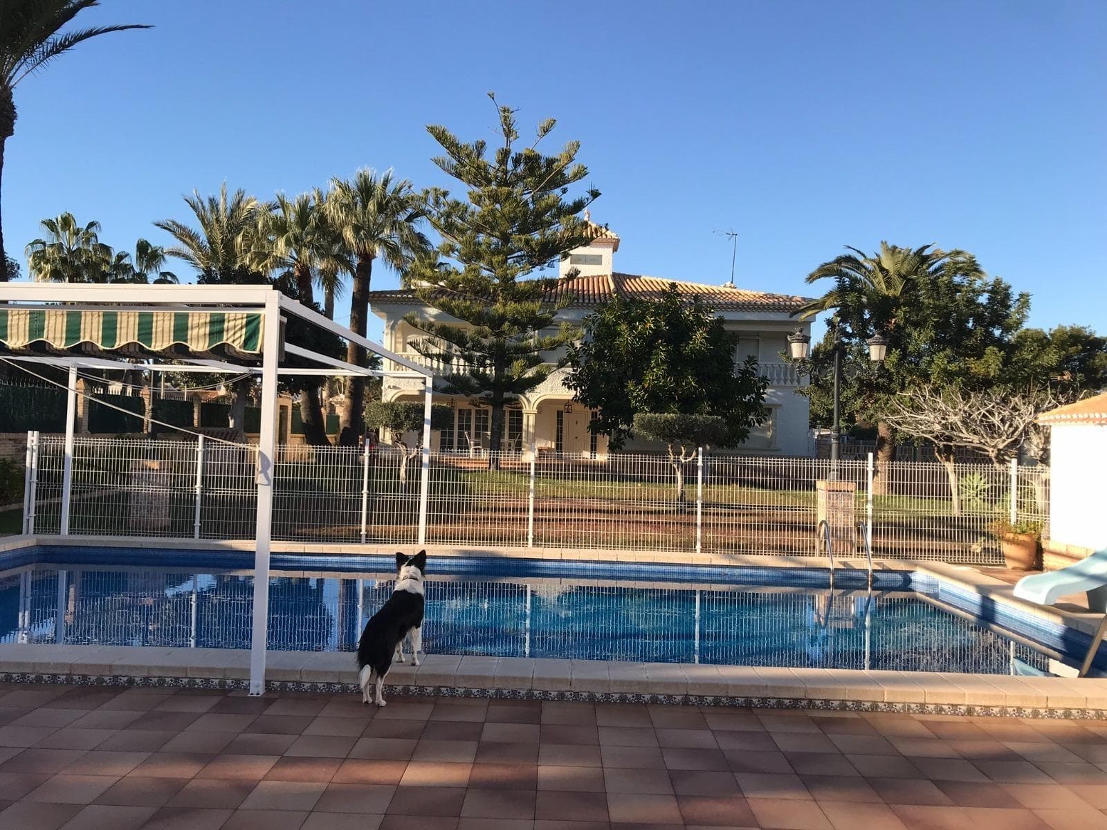 7 bed Detached Villa in Orihuela Costa - 3