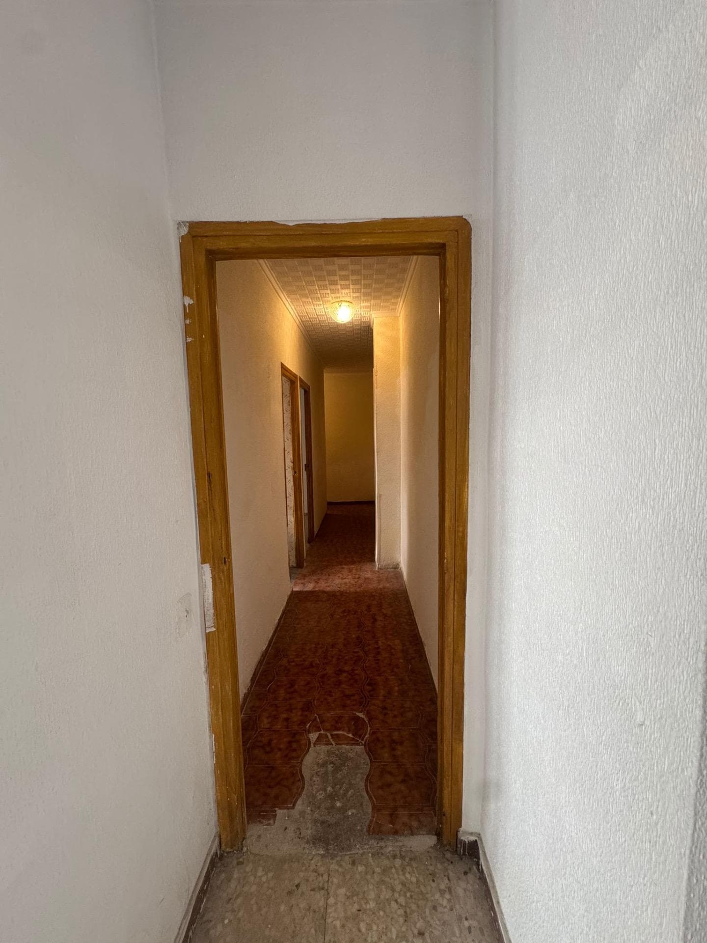 Tussenverdieping Appartement met 5 slaapkamers in Guardamar del Segura - 14
