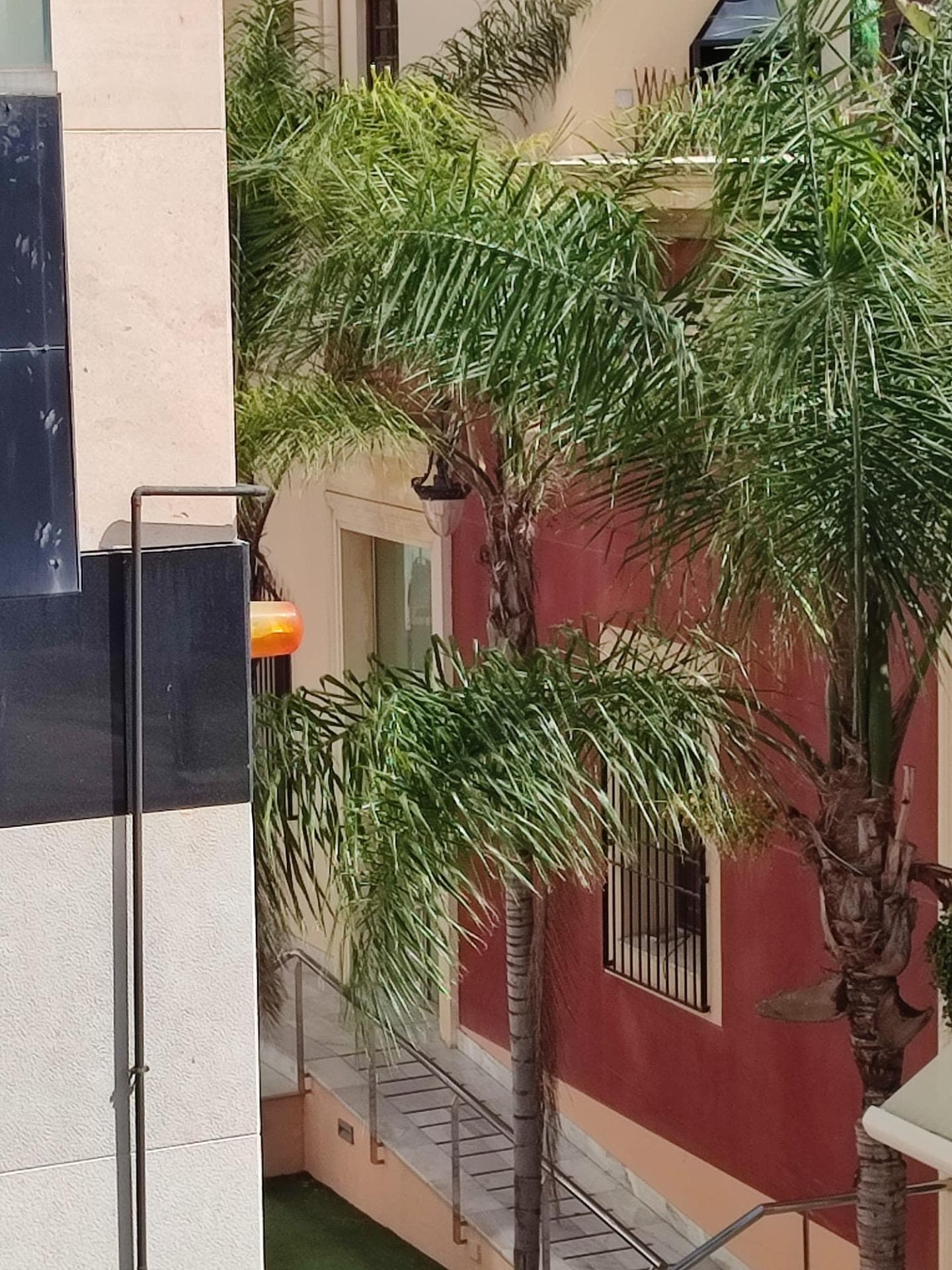 Apartamento Planta Media de 4 dormitorios en Orihuela - 20