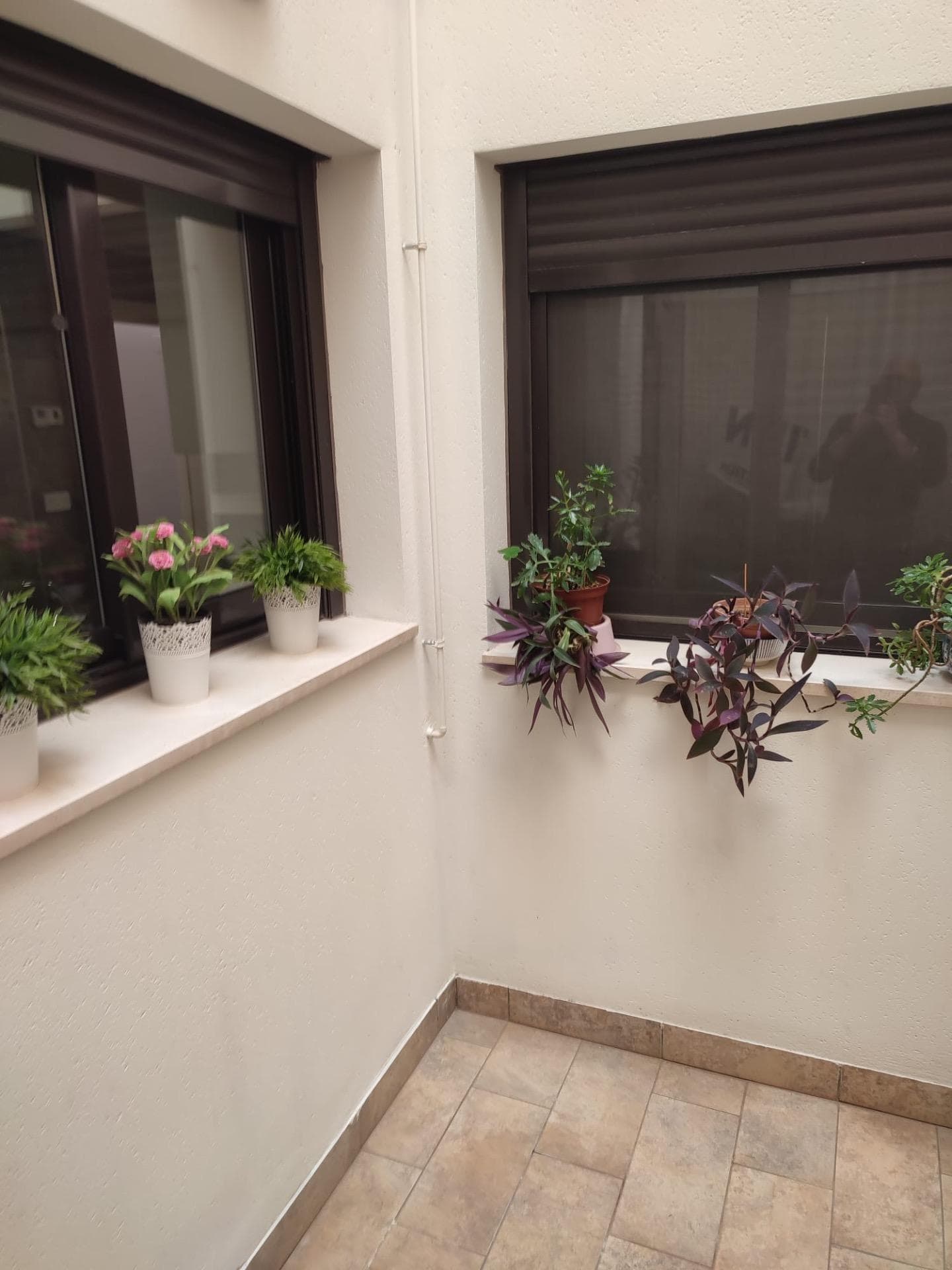 Apartamento Planta Media de 4 dormitorios en Orihuela - 7