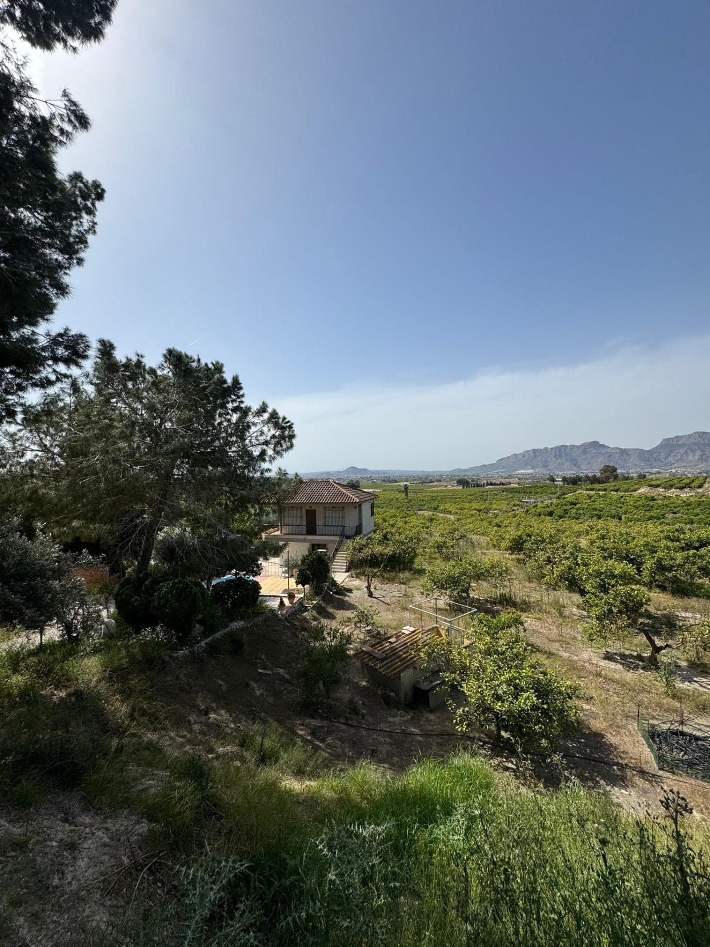 Finca - Cortijo met 1 slaapkamers in Orihuela - 19