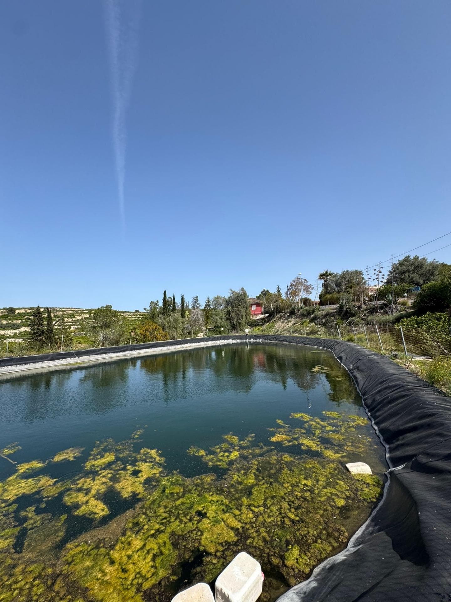 Finca - Cortijo met 1 slaapkamers in Orihuela - 20