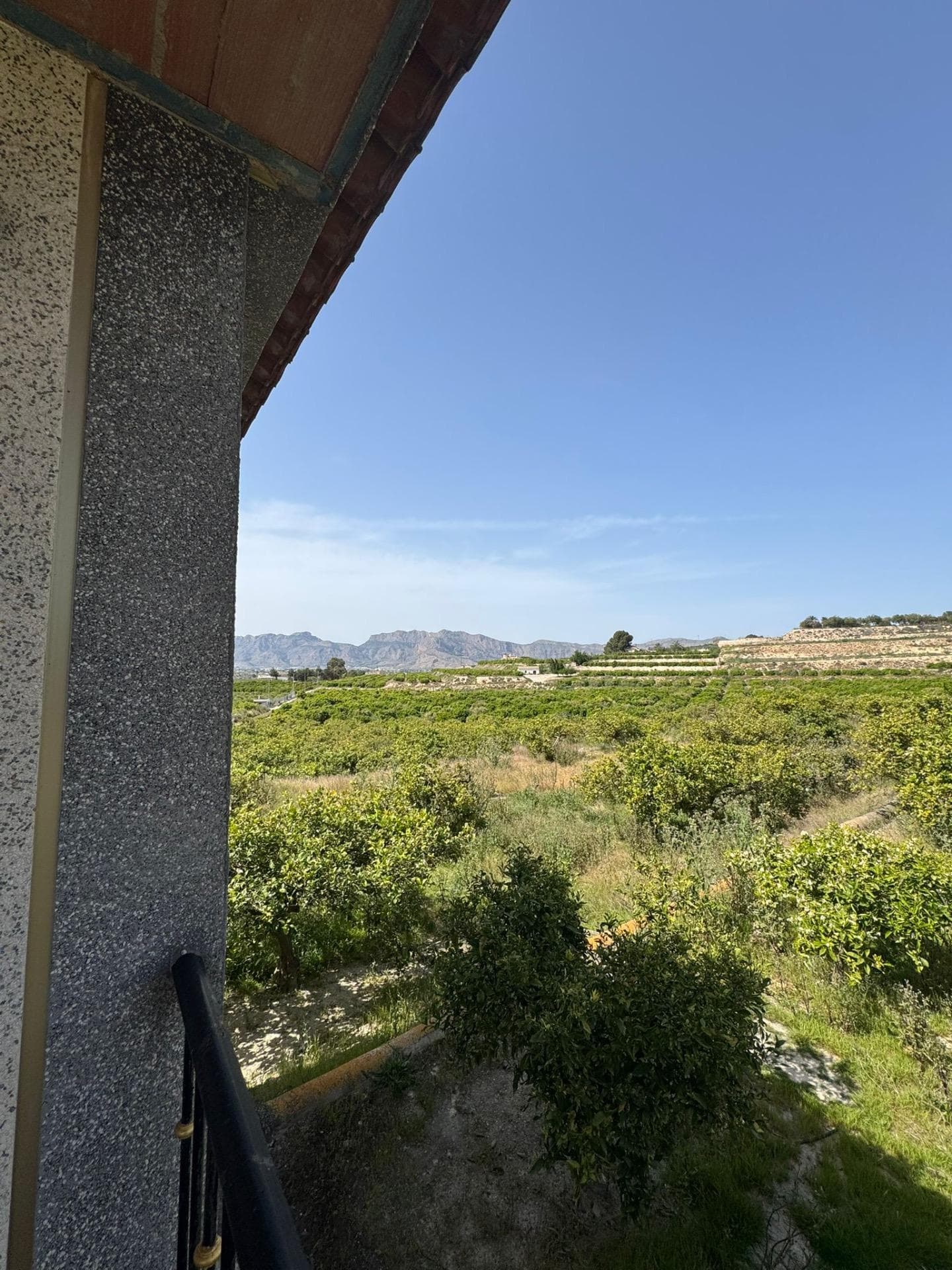 Finca - Cortijo met 1 slaapkamers in Orihuela - 24