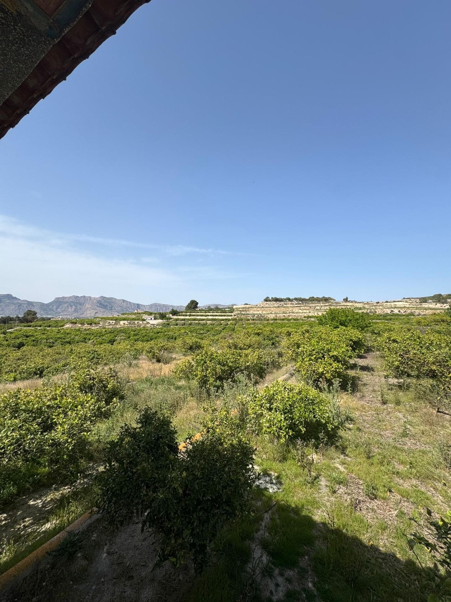 Finca - Cortijo met 1 slaapkamers in Orihuela - 26