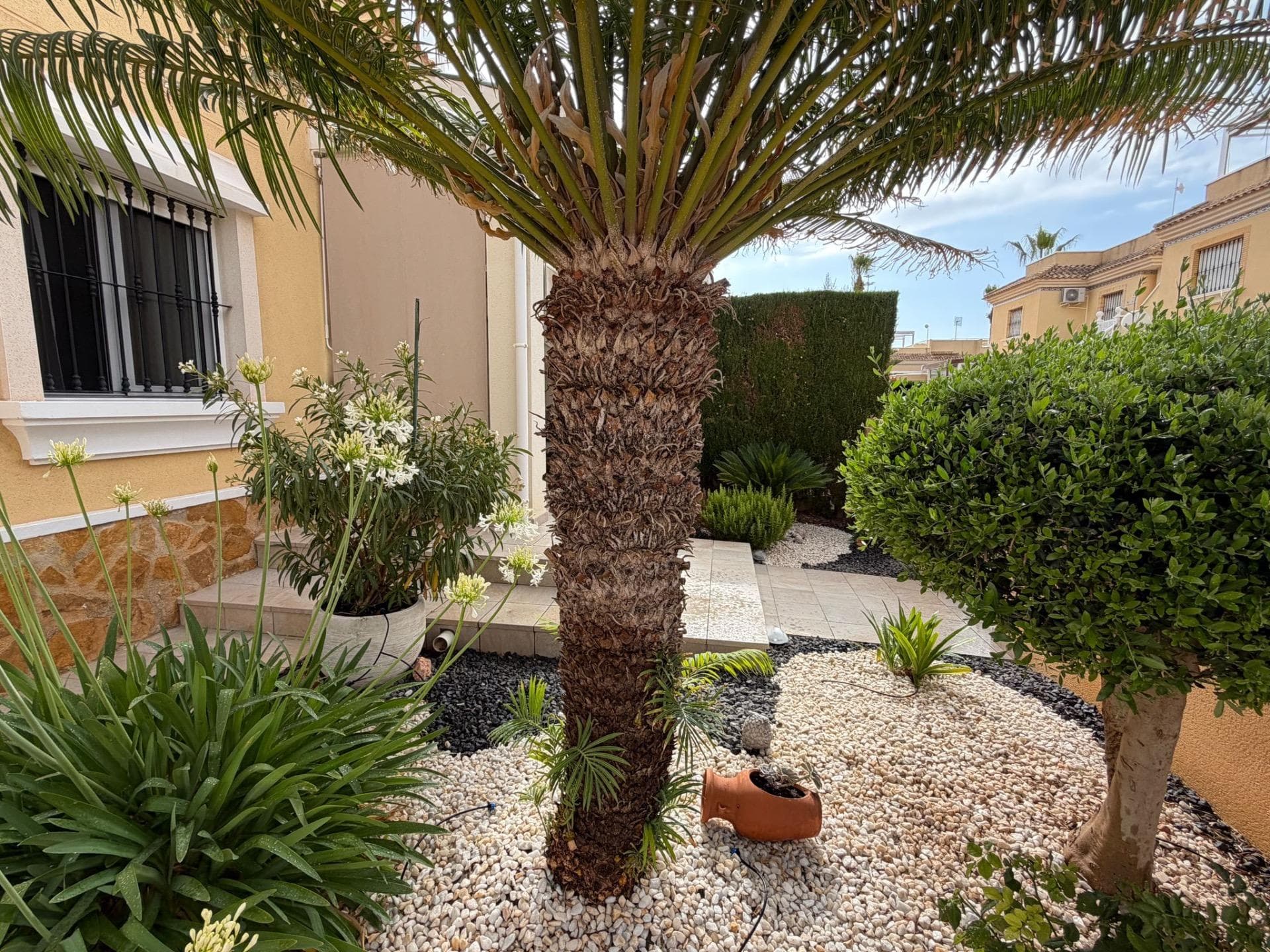 2 bed Bungalow in Orihuela Costa - 10