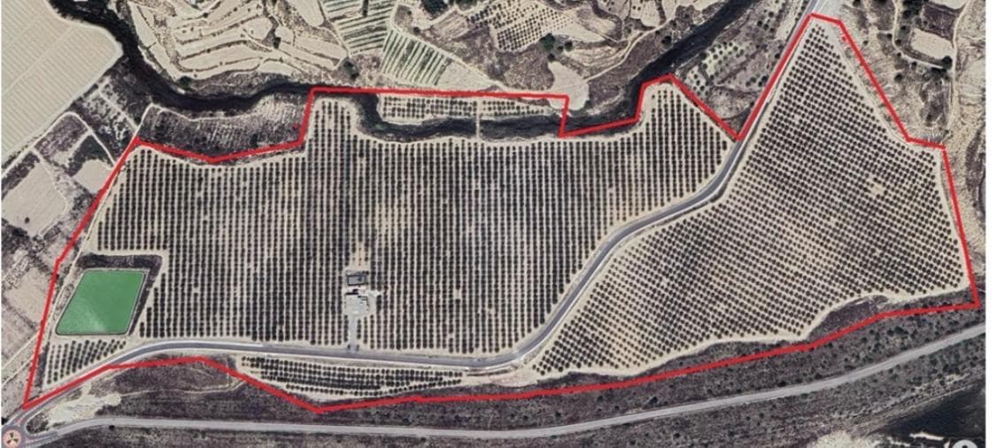 Finca - Cortijo in Orihuela - 1