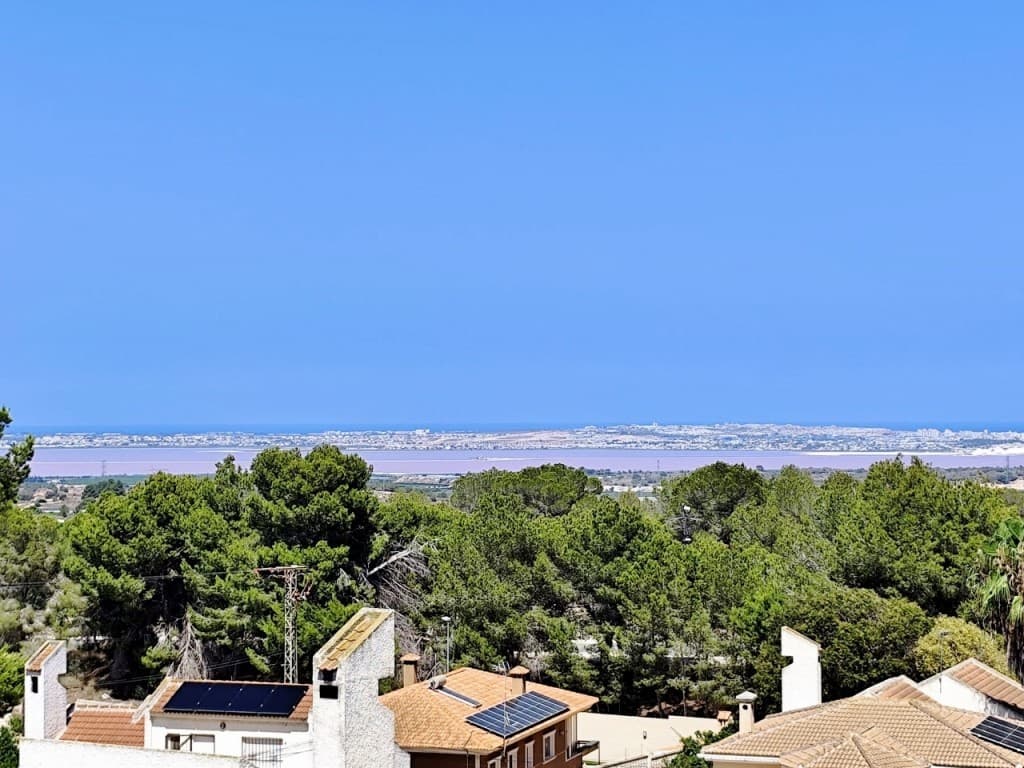 Vrijstaande Villa met 4 slaapkamers in San Miguel de Salinas - 39