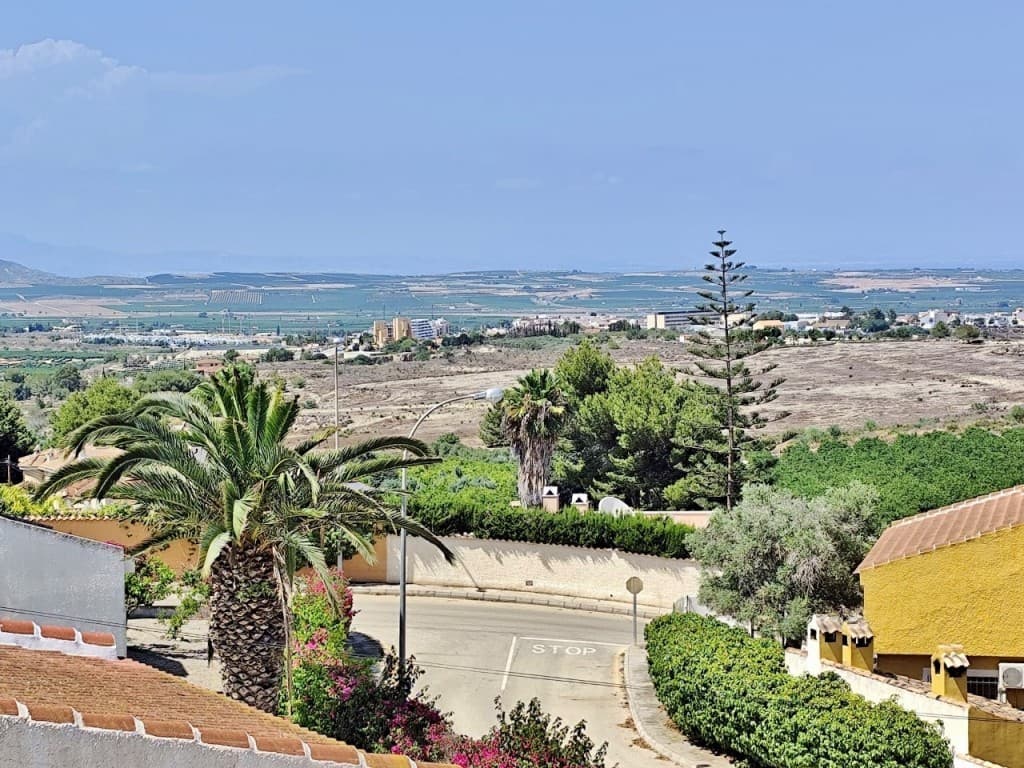 Vrijstaande Villa met 4 slaapkamers in San Miguel de Salinas - 37