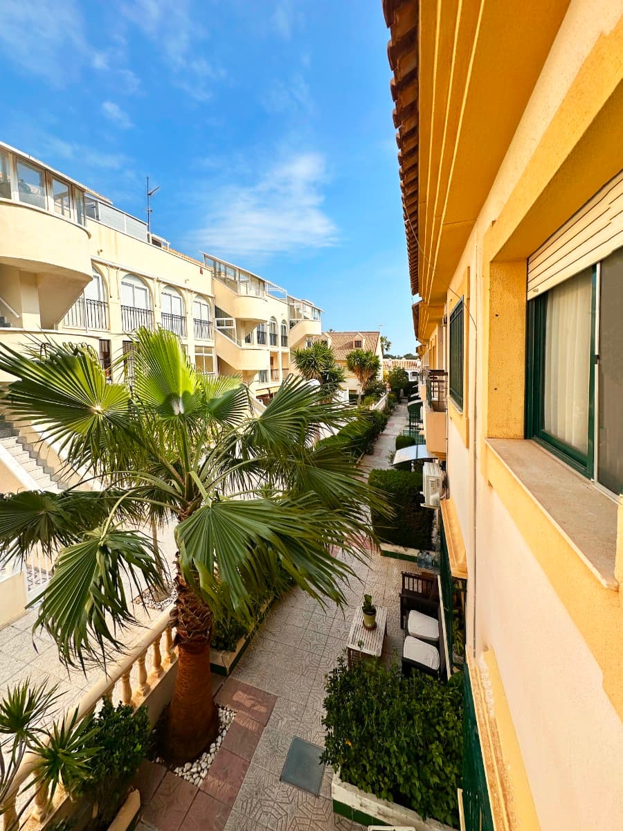 Villa - Chalet de 3 dormitorios en Orihuela Costa - 37