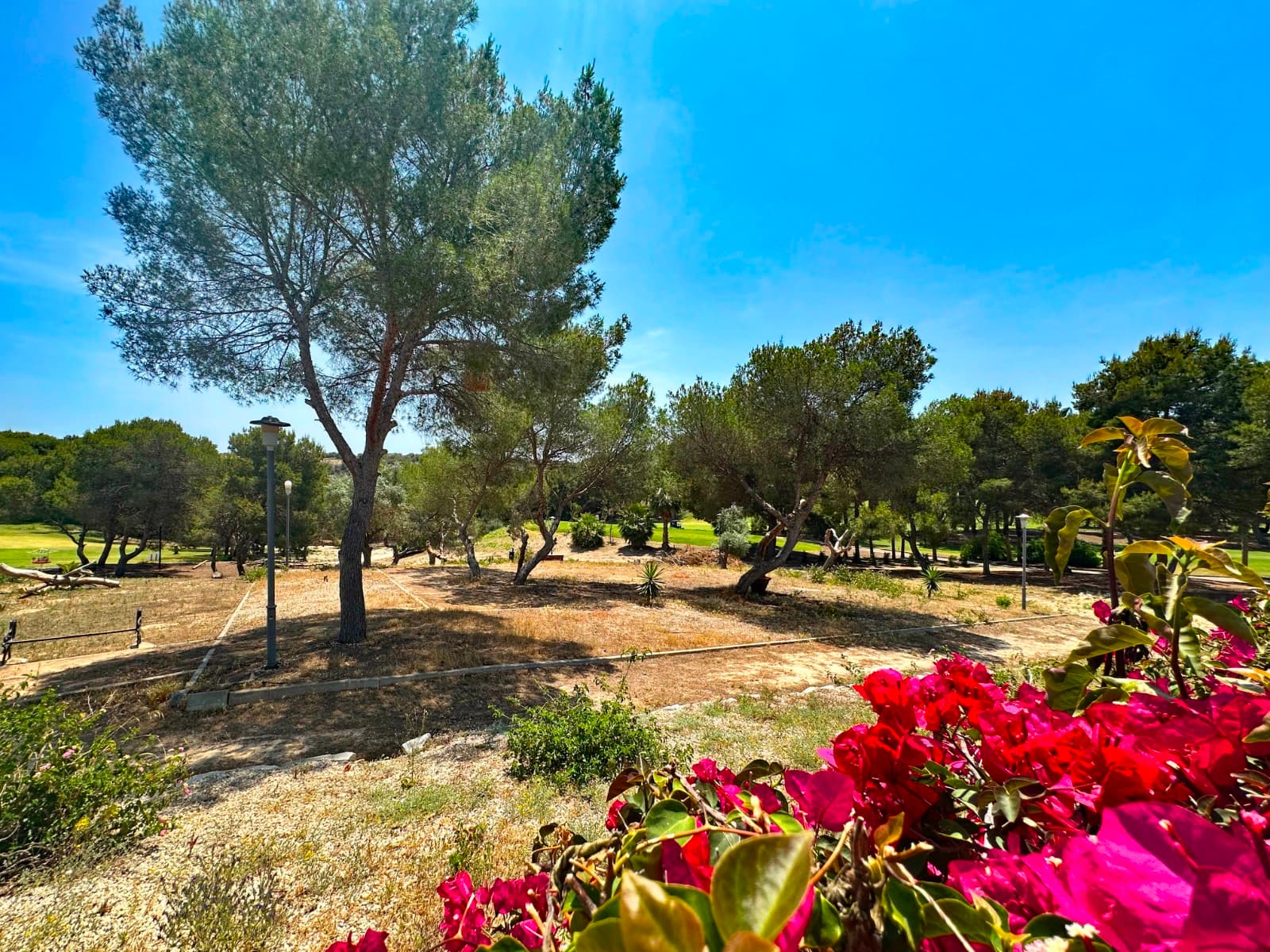 3 bed Detached Villa in Orihuela Costa - 20