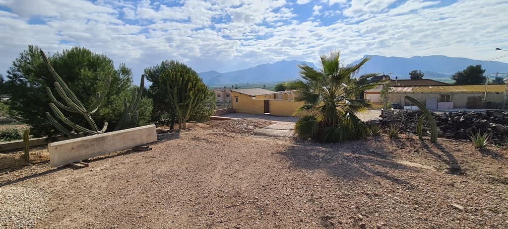 Vrijstaande Villa met 3 slaapkamers in Orihuela - 42