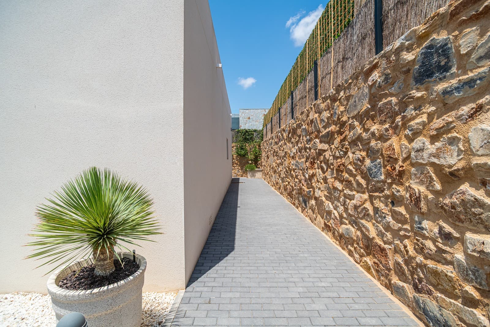 Villa - Chalet de 3 dormitorios en Algorfa - 33
