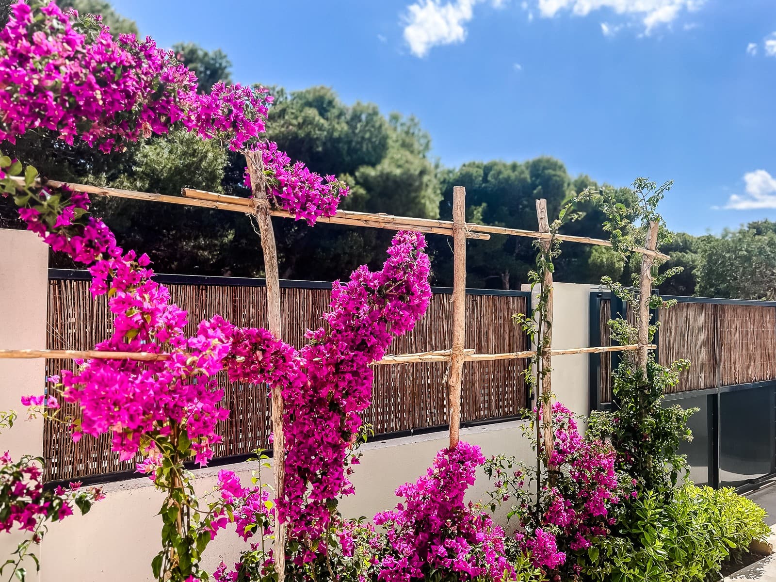 3 bed Middle Floor Apartment in San Javier - 30