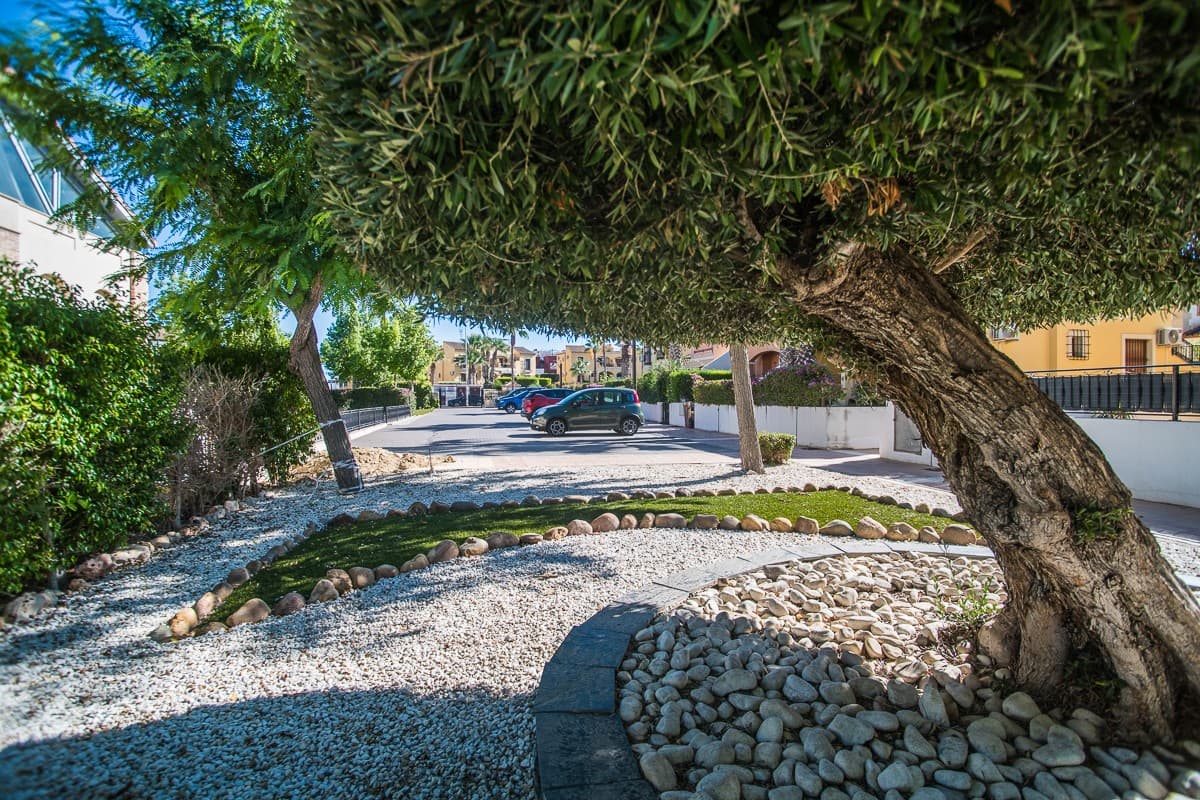 Villa - Chalet de 3 dormitorios en Algorfa - 38