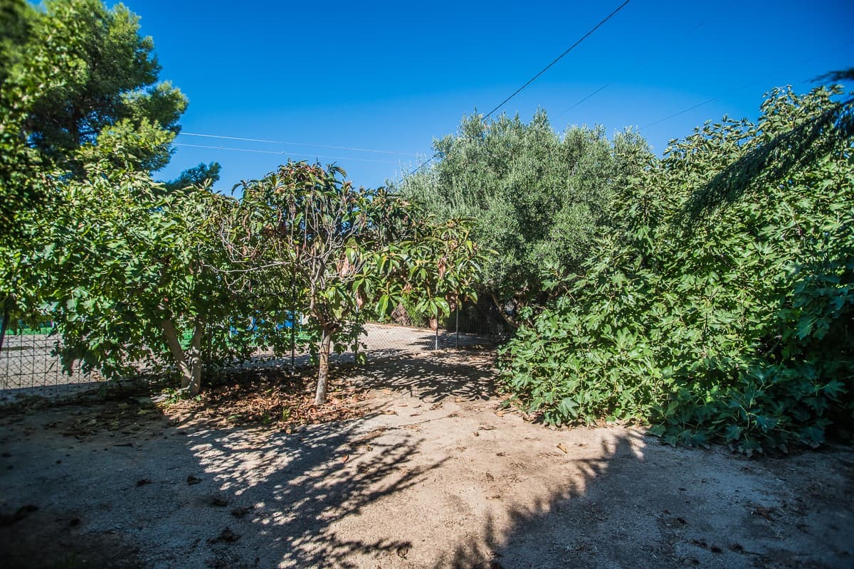 Vrijstaande Villa met 4 slaapkamers in Orihuela - 15