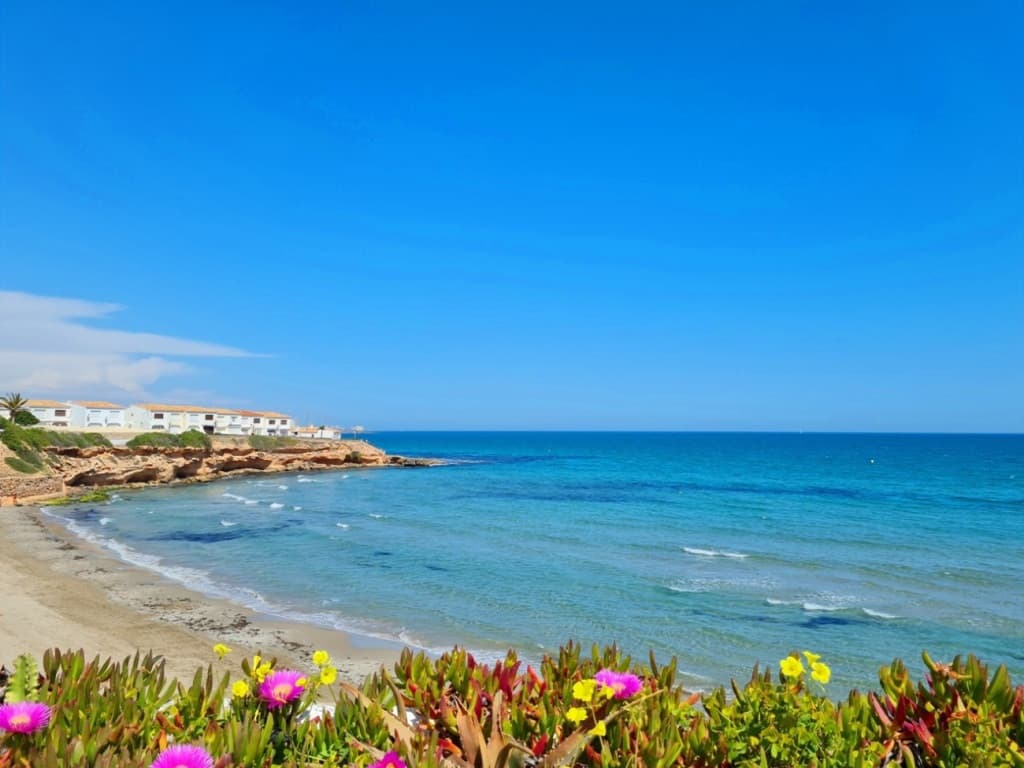 Villa - Chalet de 3 dormitorios en Orihuela Costa - 36