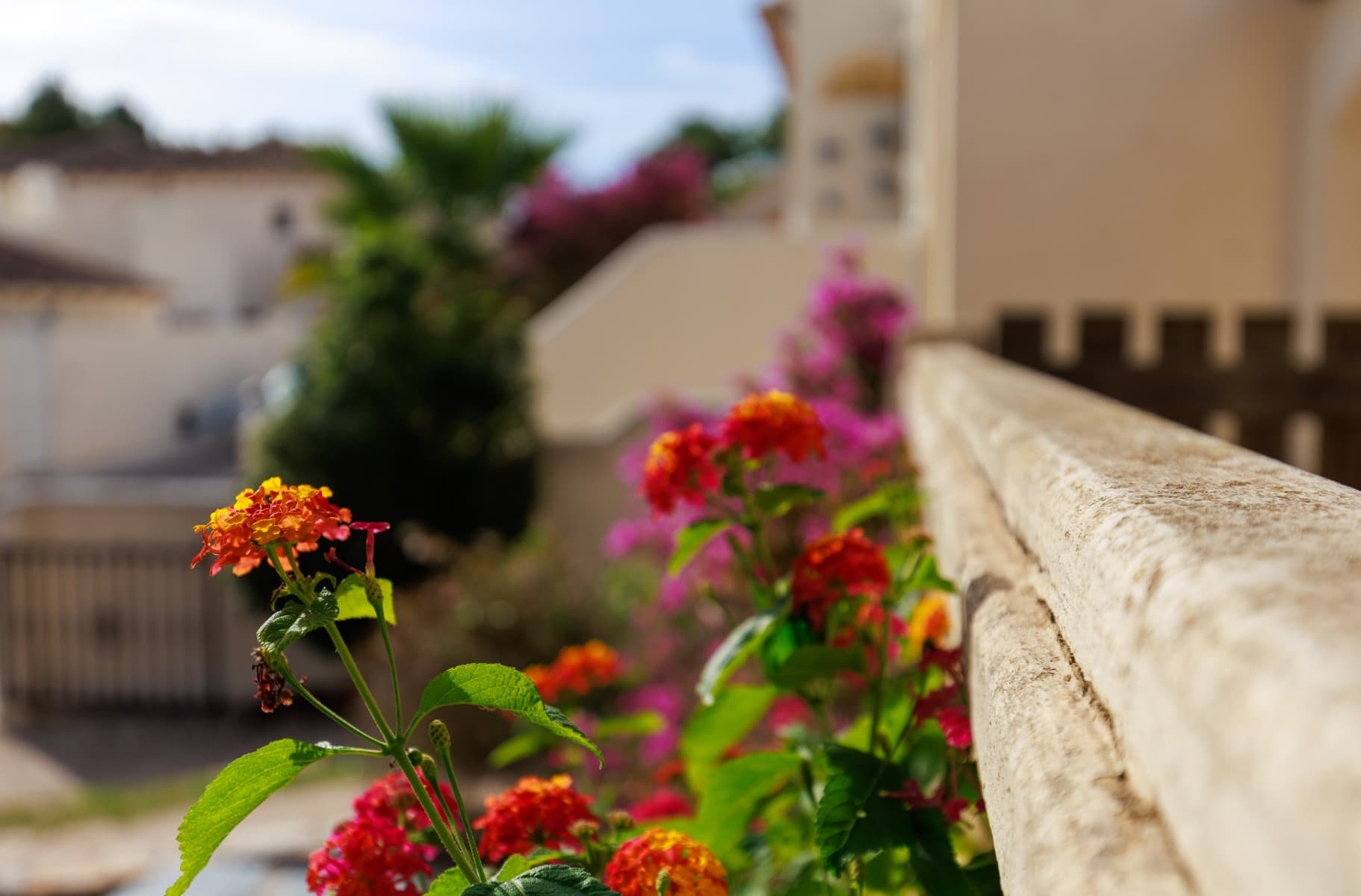 3 bed Townhouse in Las Ramblas Golf - 40