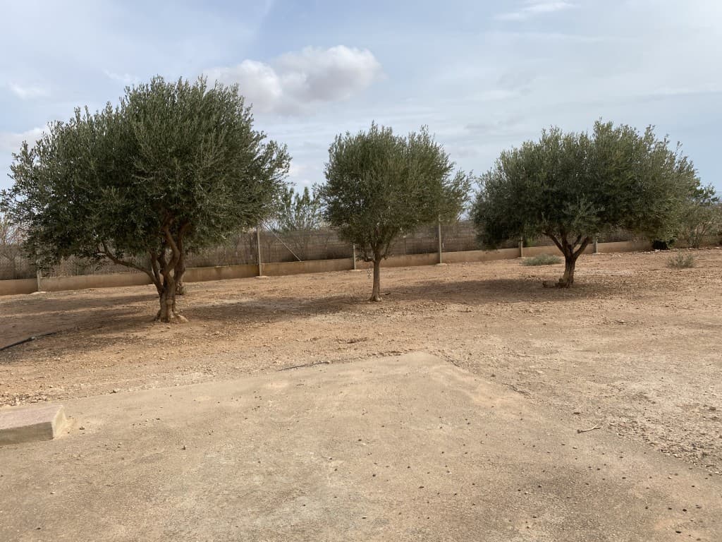 Adosada de 4 dormitorios en Fuente Alamo de Murcia - 36