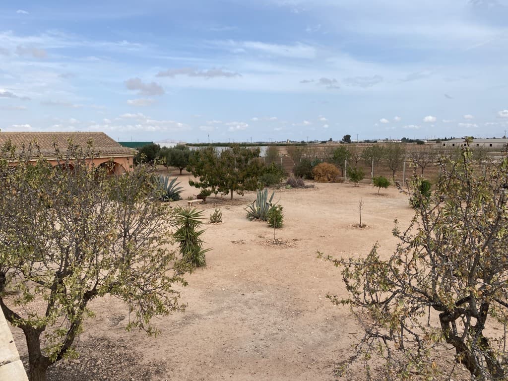 Adosada de 4 dormitorios en Fuente Alamo de Murcia - 42