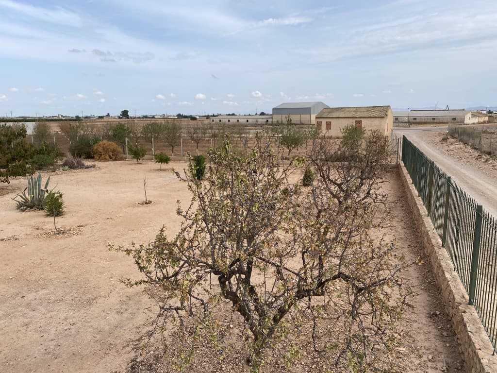 Adosada de 4 dormitorios en Fuente Alamo de Murcia - 43