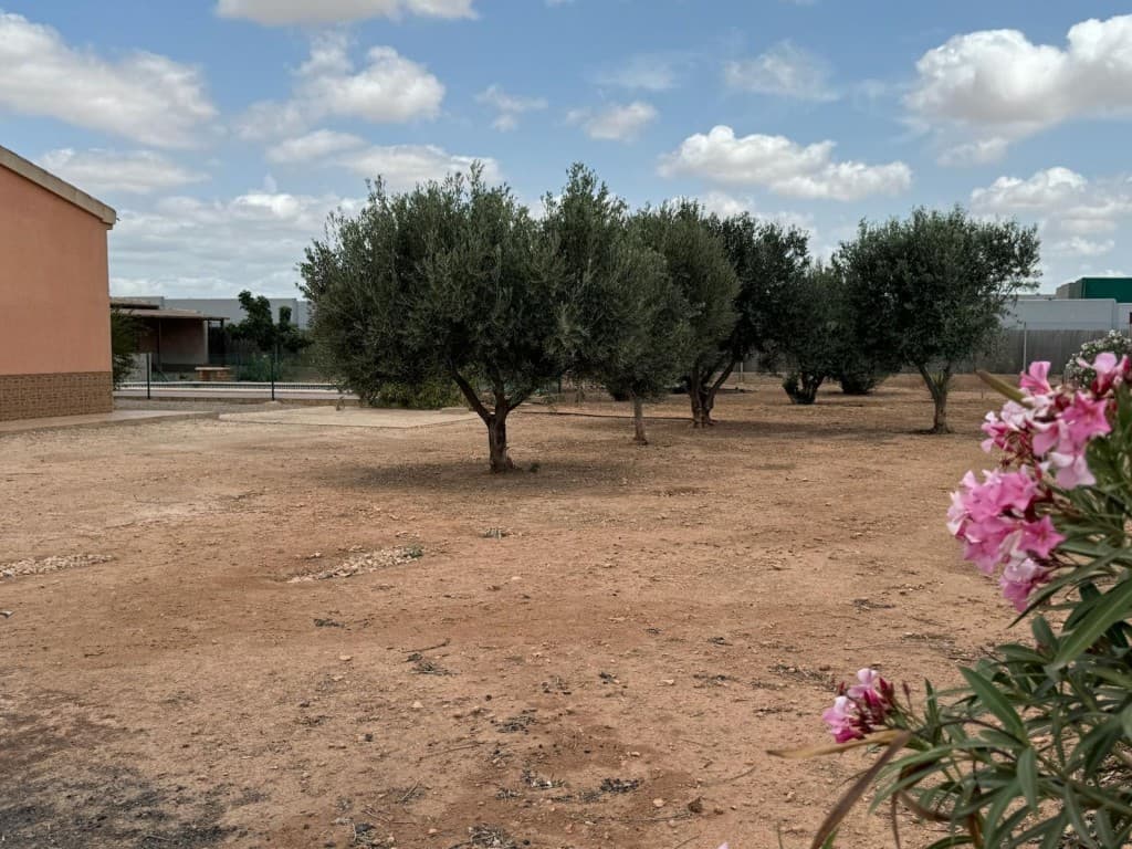 Adosada de 4 dormitorios en Fuente Alamo de Murcia - 45