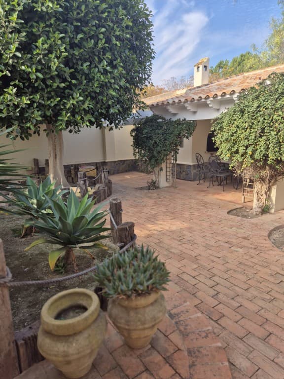 Finca - Cortijo met 4 slaapkamers in Daya Vieja - 18