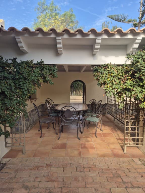 Finca - Cortijo met 4 slaapkamers in Daya Vieja - 19