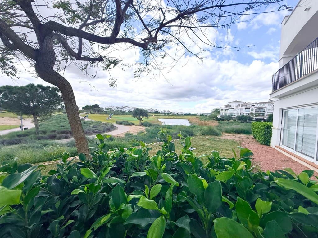 Apartamento Planta Media de 2 dormitorios en Hacienda Riquelme - 13