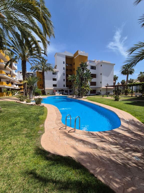 Apartamento Planta Media de 2 dormitorios en Punta Prima - 19
