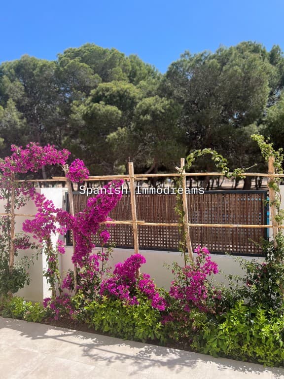 Tussenverdieping Appartement met 3 slaapkamers in Santiago de la Ribera - 17
