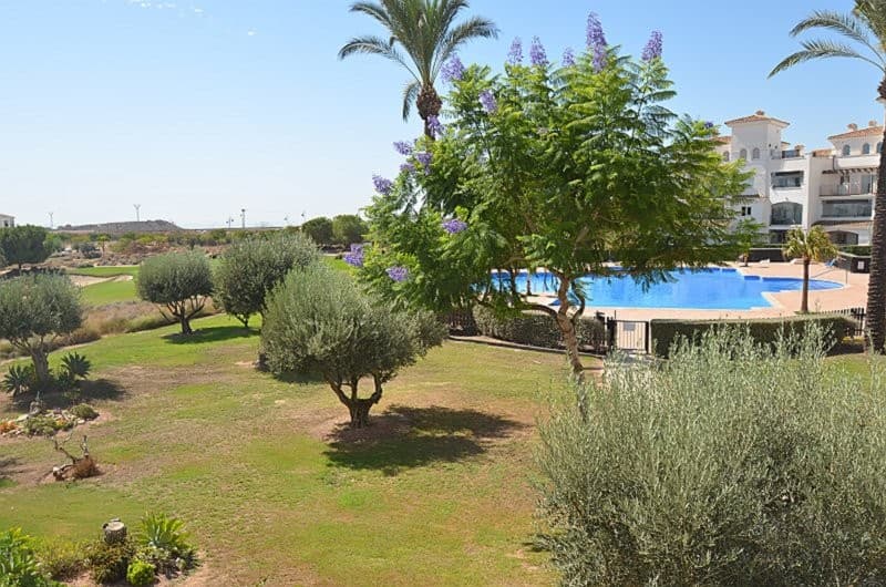 2 bed Middle Floor Apartment in Hacienda Riquelme - 21