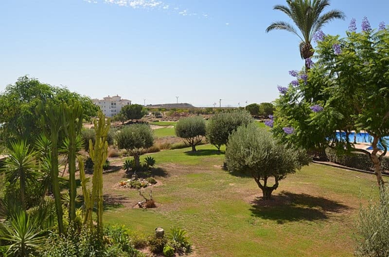 2 bed Middle Floor Apartment in Hacienda Riquelme - 22