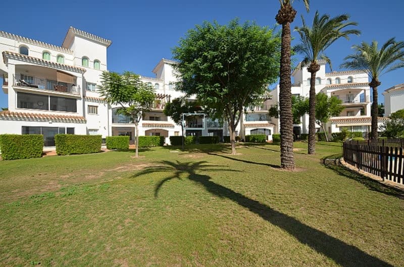 Apartamento Planta Media de 2 dormitorios en Hacienda Riquelme - 17