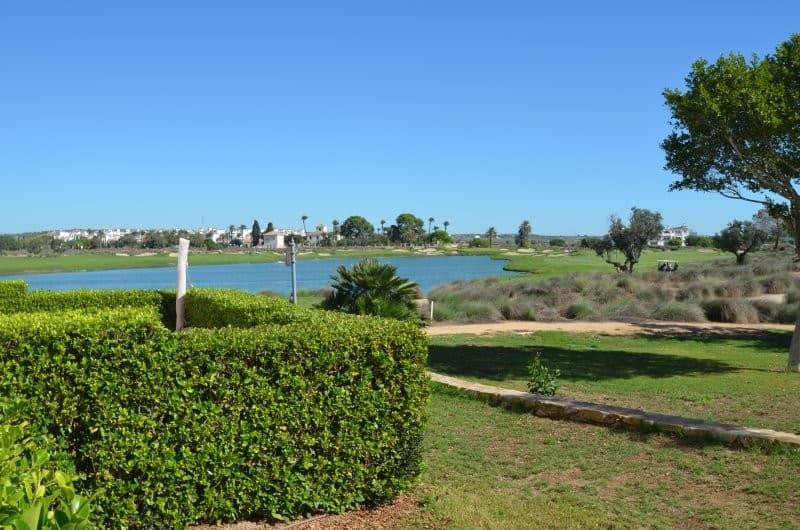 2 bed Middle Floor Apartment in Hacienda Riquelme - 21
