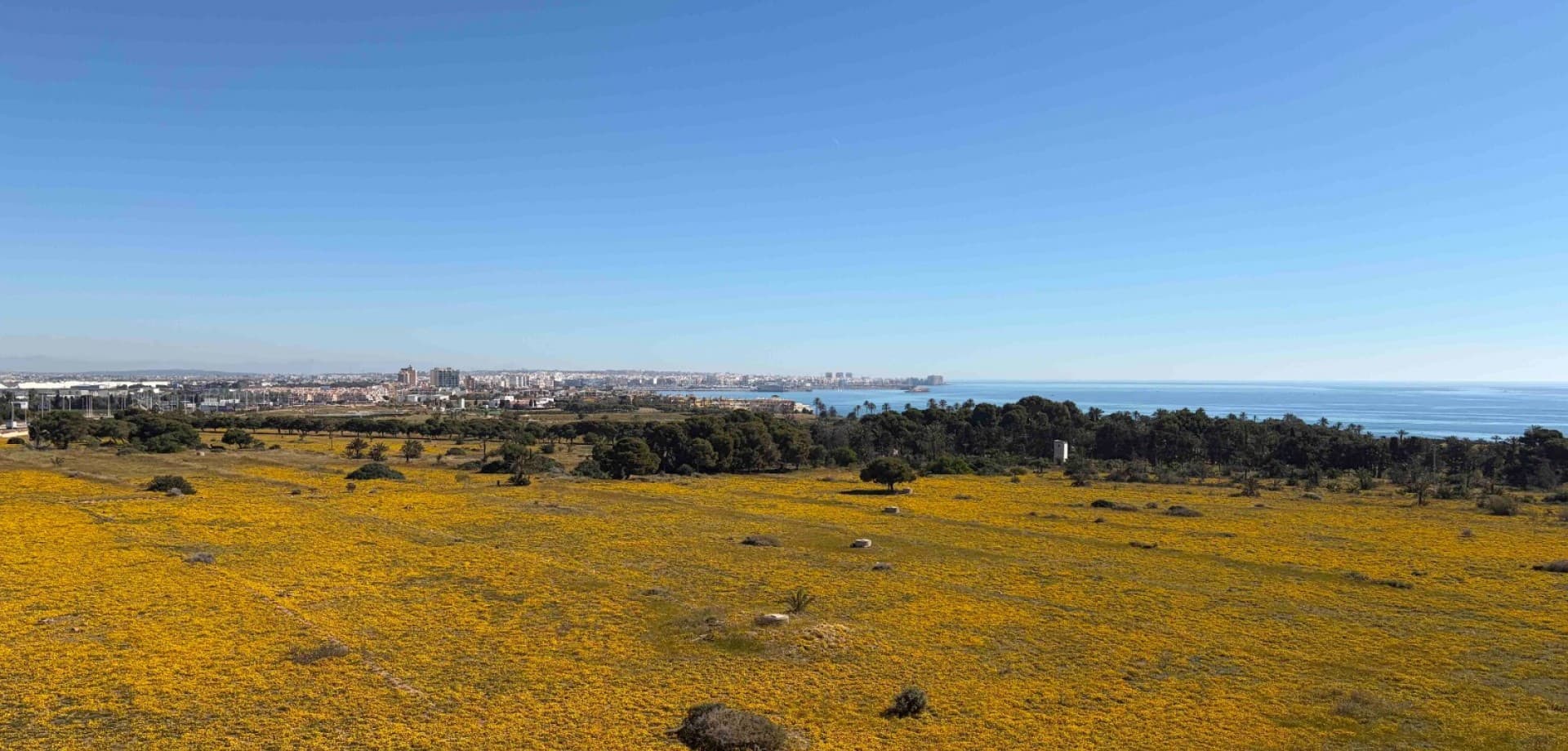 Tussenverdieping Appartement met 2 slaapkamers in Orihuela Costa - 8